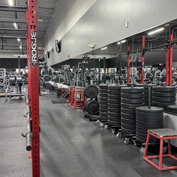 Elite Physique Gym Rio Rancho Image 13